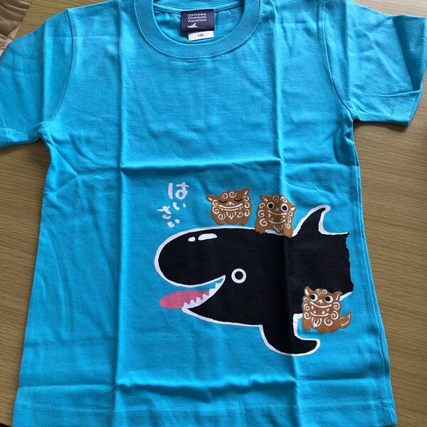 沖縄美ら海水族館 Tシャツ 130 水色 サメとシーサー 未使用