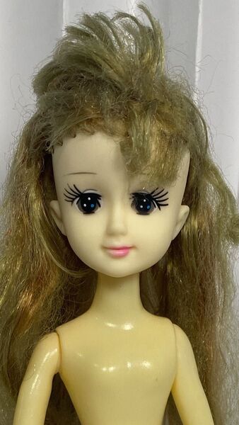 ドール ドール リカちゃん チャーミーツイン 他