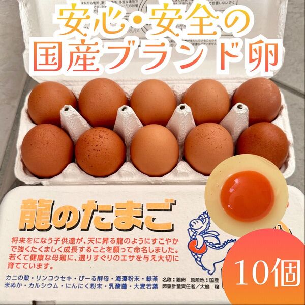 卵好き必見! 黄身が濃くて大きい!龍の卵 10個 スーパーでなかなか買えない究極の卵