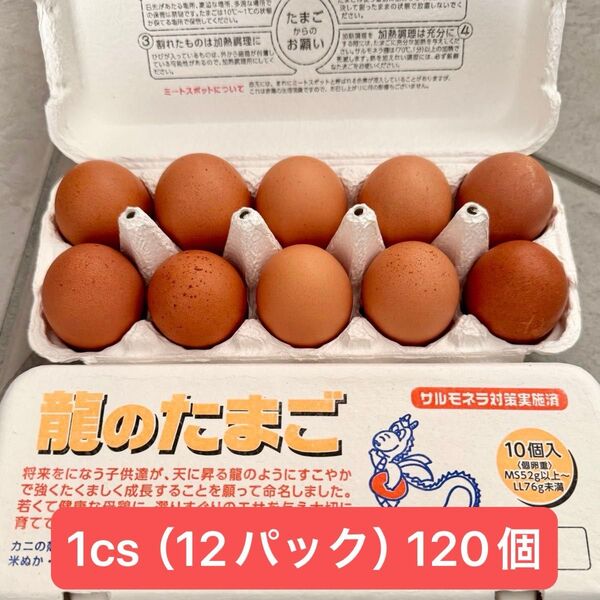 国産ブランド卵 龍の卵 12パック 120個 ケース販売 鶏卵 業務用 たまごかけご飯やだし巻きに♪