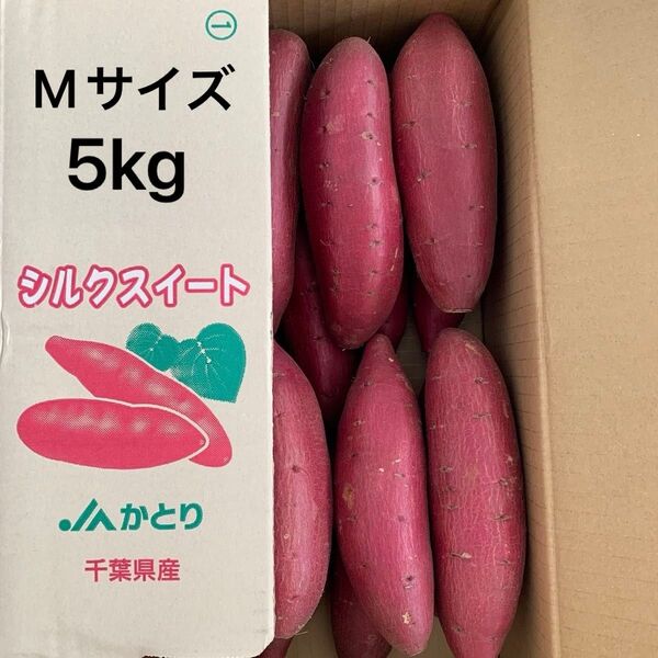 A等級 千葉県かとり産 シルクスイート Mサイズ 5kg