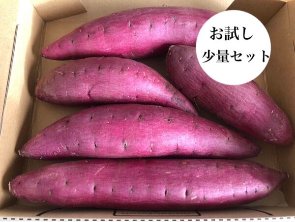 当店一番人気のさつまいもです♪ 千葉県かとり産 シルクスイート Mサイズ 1kg