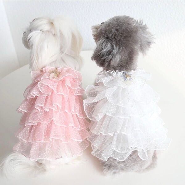 【新品】ペット服 シフォンポンポンワンピース 6段レース チュールドレス ピンク