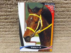 ダービーライブ 実名競馬 コレクションカード 第0弾 マルセリーナ