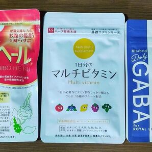 シボヘール+マルチビタミン+GABA 3点セット