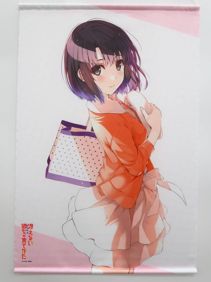 さかずき 加藤恵 タオル ポストカード アクリルスタンド グッズセット Yahoo!オークション -「加藤恵」(コミック、アニメグッズ) の
