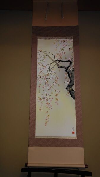 掛け軸 桜花爛漫 森山観月