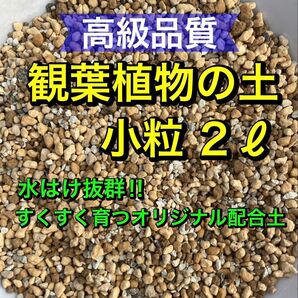 高級品質 観葉植物の土 2リットル●小粒● 多肉植物
