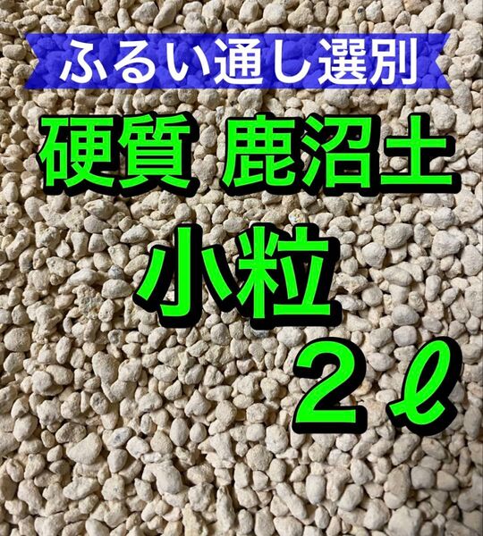ふるい通し選別硬質 鹿沼土 ●小粒● 2リットル 多肉植物 観葉植物 培養土