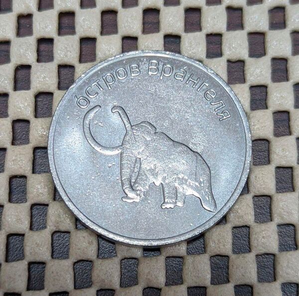 マンモス 記念硬貨 ロシア ウランゲリ島 1ルーブル 30mm 大型 コイン 貨幣 硬貨 R781-②-v