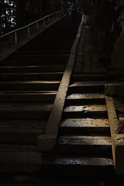 作例付き MINOLTA MD ROKKOR 45mm F2 管mpr