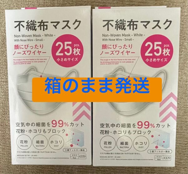 【品薄】不織布マスク 小さめ 25枚入り2箱 ダイソー⑩