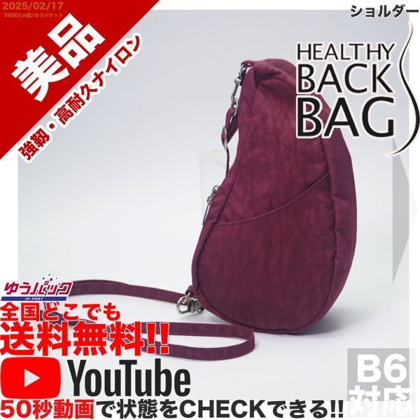送料無料 即決 YouTube動画アリ 定価7000円 美品 ヘルシーバックバッグ HEALTHY BACK BAG ショルダー バッグ
