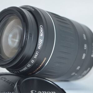 極美品Canon☆望遠レンズ☆EF55-200mm ☆遠景に最適