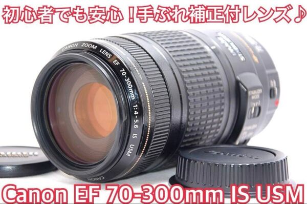 ★美品★Canon EF 70-300mm F4-5.6 IS USM