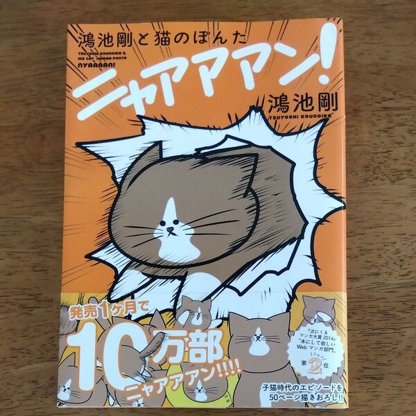 鴻池剛と猫のぽんたニャアアアン! 鴻池剛/著