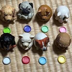 まんまるいぬ 台座付き 8種類セット
