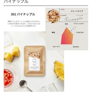 新品未使用品 フルーツティ2種 紅茶 ティート お礼 ご挨拶 ギフト