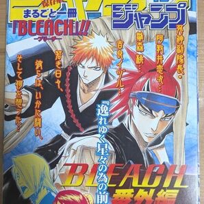 BLEACH番外編 小冊子 逸れゆく星々の為の前奏曲 34P漫画 ジャンプインジャンプ