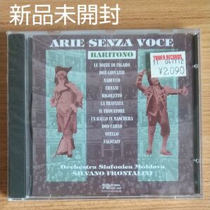 ARIE SENZA VOCE