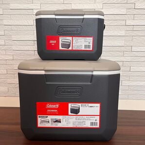 【2サイズセット】新品 コールマン クーラーボックス テイク6 16qt