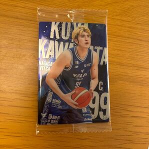 B.LEAGUEウエハース24-25 川真田紘也