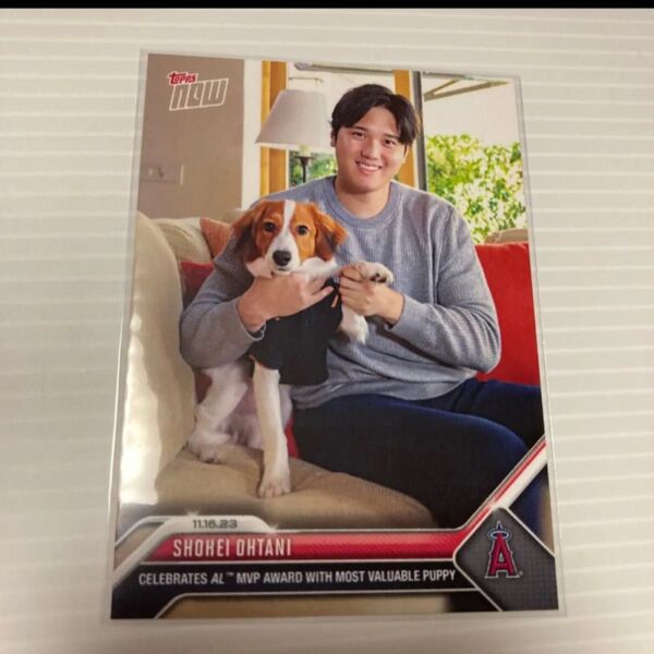 Topps Now 大谷翔平 MVP 犬 限定 オーダー カード OS-19 エンゼルス ドジャース トップス デコピン