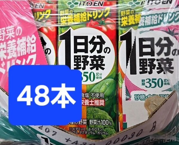 【値引き不可】48本 1日分の野菜 30種類の野菜 200ml 紙パック 賞味期限2026年1~2月