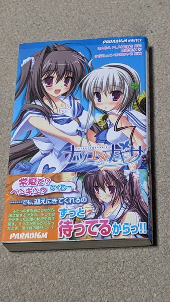 【初版】ナツユメナギサ (PARADIGM NOVELS 437) SAGA PLANETS/原作 島津出水/著