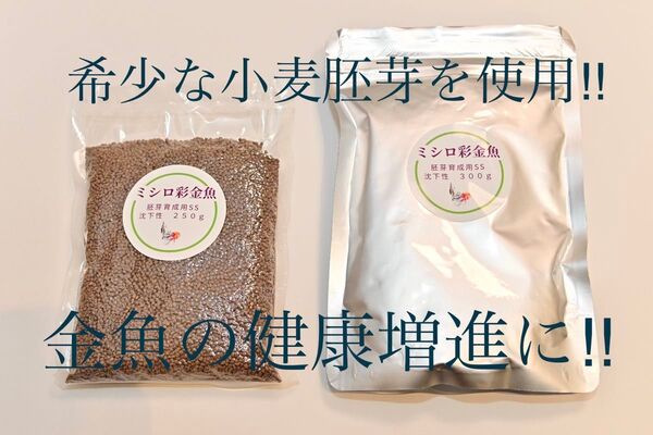 低水温対応金魚のエサ 真空パックミシロ彩金魚胚芽育成用SS 沈下性 550g らんちゅう・土佐金・オランダ・東錦にも最適な金魚の餌