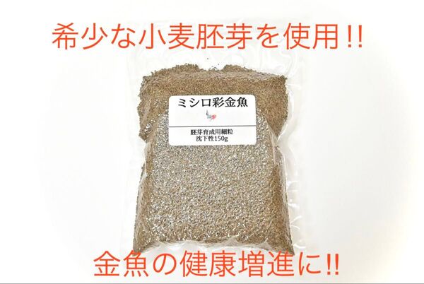 健康増進の金魚のエサ 真空パックミシロ彩金魚胚芽育成用 細粒 沈下性 150gらんちゅう・土佐金・オランダ・東錦にも最適な金魚の餌
