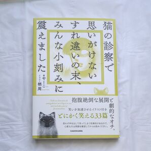 猫の診察で思いがけないすれ違いの末、みんな小刻みに震えました やーこ/著
