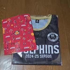 【名古屋ダイヤモンドドルフィンズ】グッズ