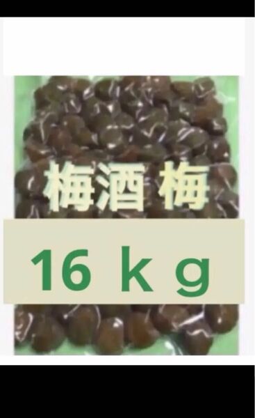 ★★【大量 梅酒の梅 】16kg+おまけ +1000g訳あり 業務用
