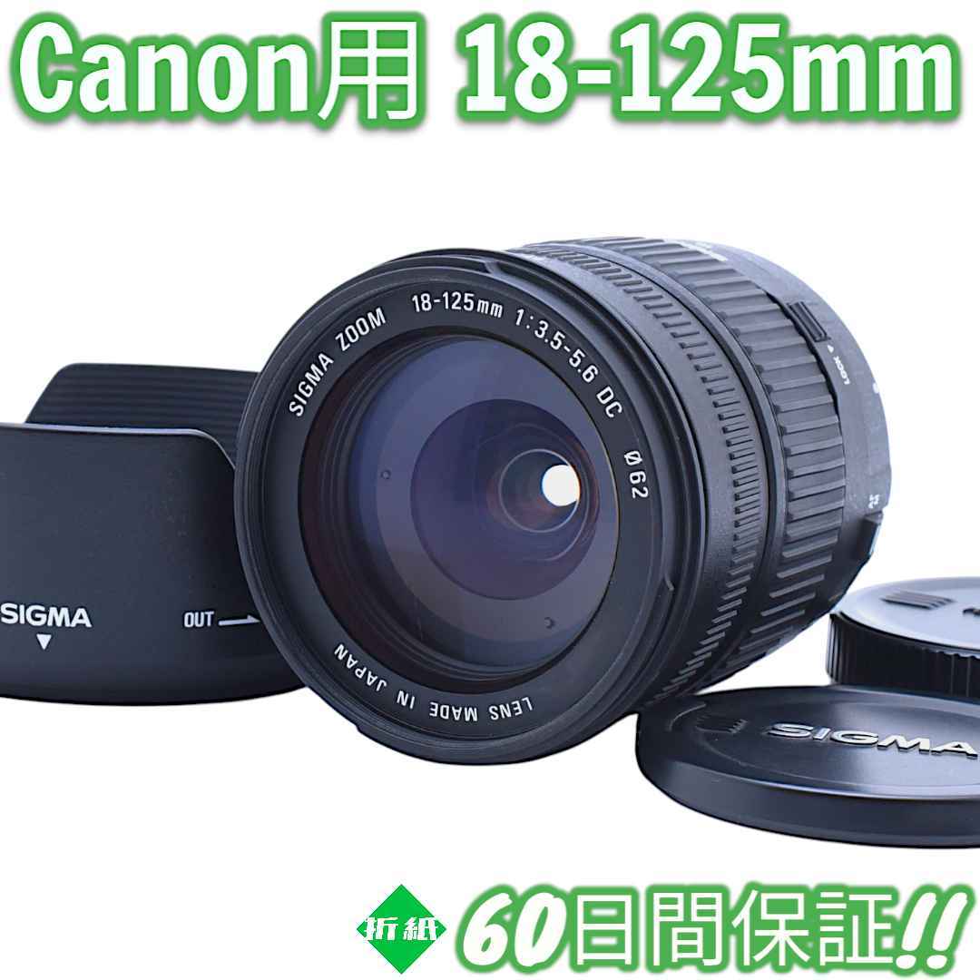 Amazon.com : Sigma 18-125mm f/3.8-5.6 AF DC OS HSM Zoom Lens