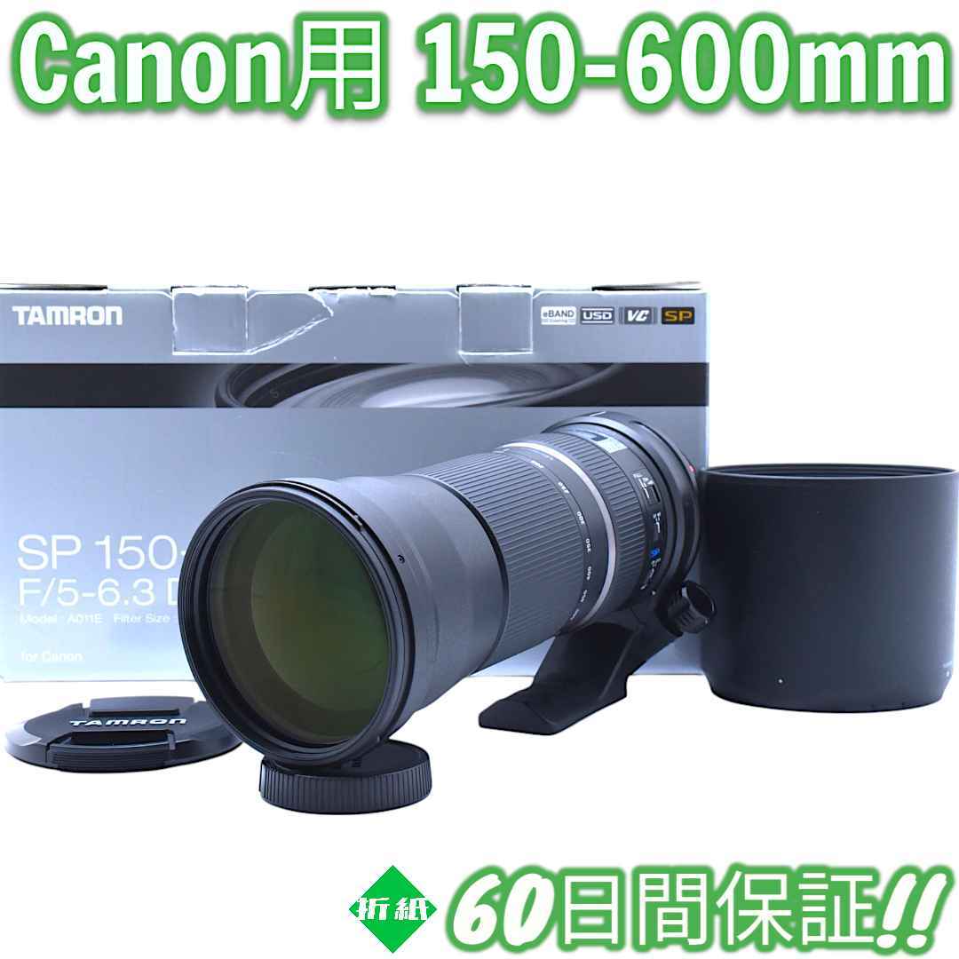 2025年最新】タムロン 150-600mmレンズで撮影の幅を広げよう 2025年最新】タムロン 150-600mmレンズで撮影の幅を広げよう
