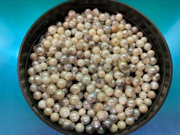 あこや真珠 ハネパール ハネ珠 小粒含む 100g ②