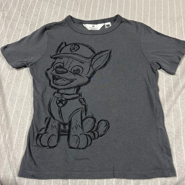 パウパトロール Tシャツ チェイス グレー 120 半袖