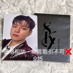 価格相談× Stray Kids スキズ XMAS ポップアップ 2024 購入特典 トレカ スンミン クリスマス 109 非売品