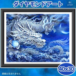 龍 ドラゴン C ダイヤモンドアート ハンドメイド リラックス pwmt
