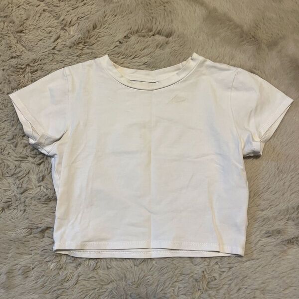 ホワイト クロップドTシャツ 半袖