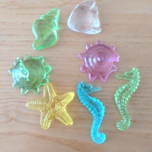 アクリルアイス 海の生き物 貝 マンボウ タツノオトシゴ ヒトデ