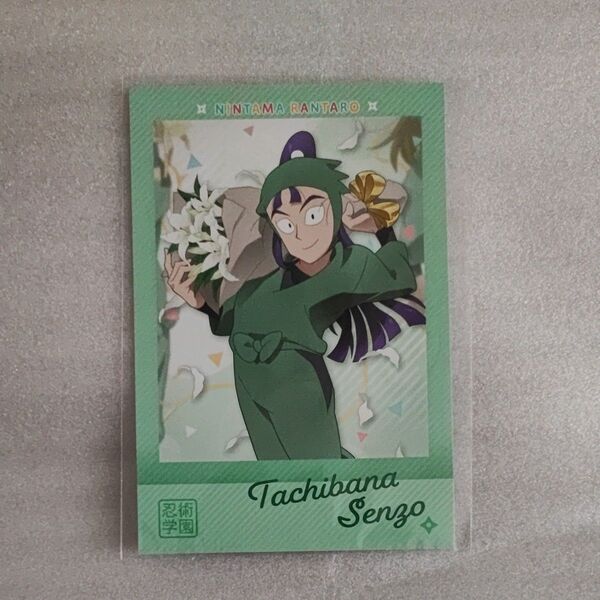 忍たま 乱太郎 原画展 立花仙蔵 ポストカード