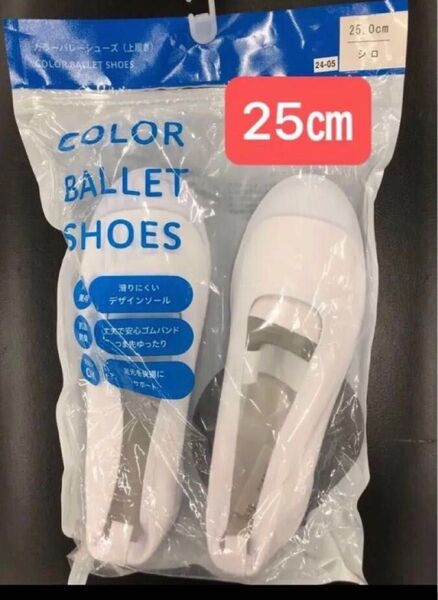 上靴 上履き 25㎝ スクールシューズ 【新品未使用】