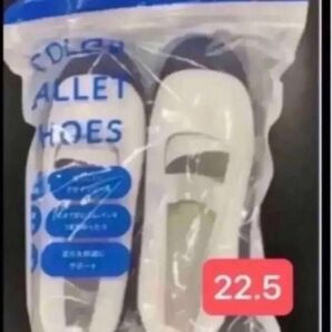上靴 上履き 22.5 スクールシューズ 【新品未使用】