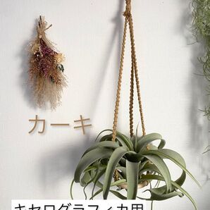 キセログラフィカ用★ウッドリングマクラメハンガー