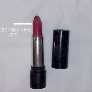 【即購入可】ちふれ 口紅 詰替用 256 ローズ系パール 限定 口紅ケース D