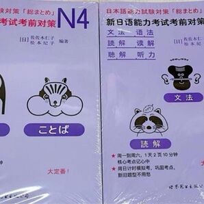 日本語能力試験対策総まとめ N4 2冊セット 新品 中国バージョン