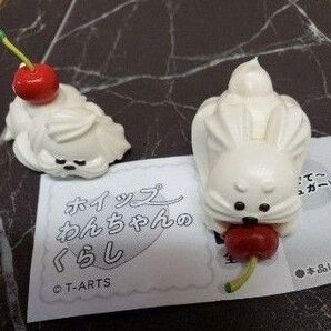 未使用 ホイップわんちゃんのくらし