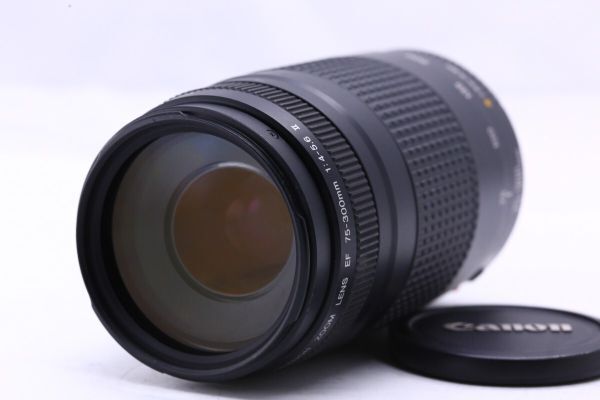 Yahoo!オークション -「ef 75-300mm f4-5.6 Ⅱ」の落札相場 Yahoo!オークション -「ef 75-300mm f4-5.6 Ⅱ」の落札相場